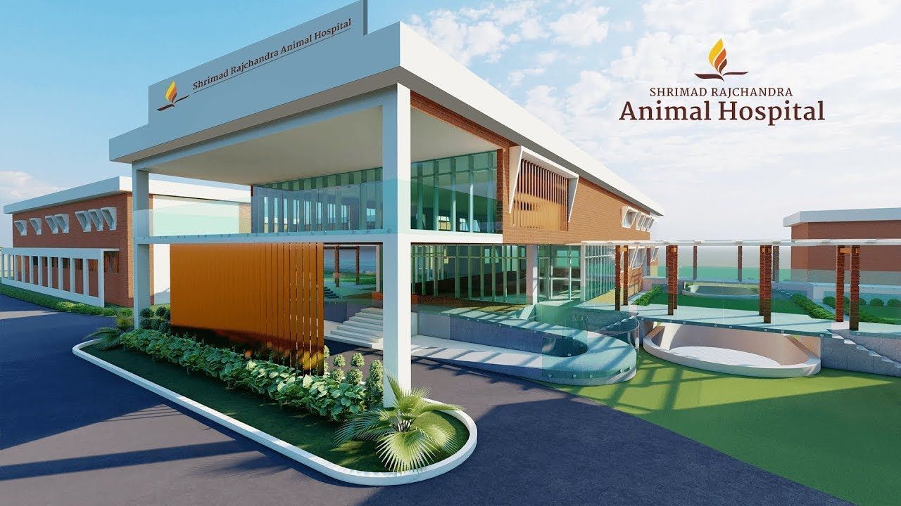 Introducing the New Shrimad Rajchandra Animal Hospital - A Boon for South Gujarat! video thumbnail